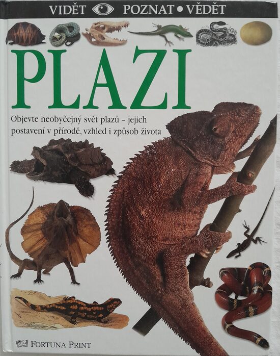 Plazi